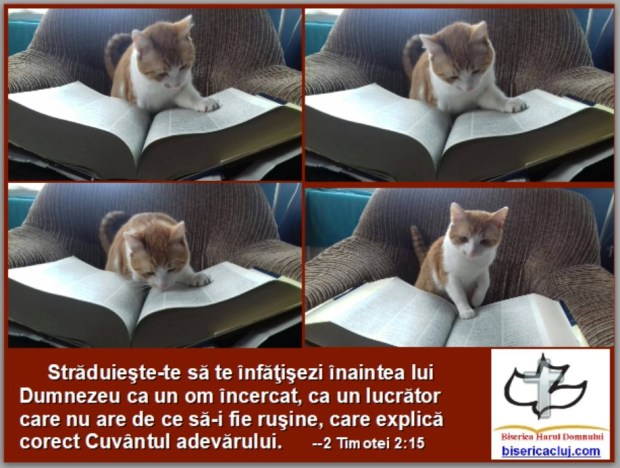 CatreadRomanianChurchemblem