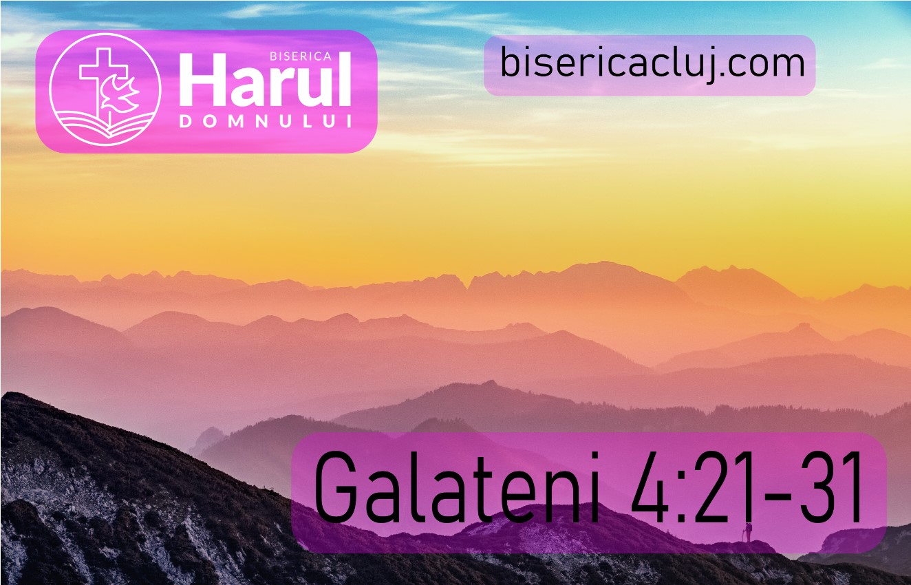 809 Youtube cover adpic